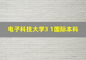 电子科技大学3 1国际本科